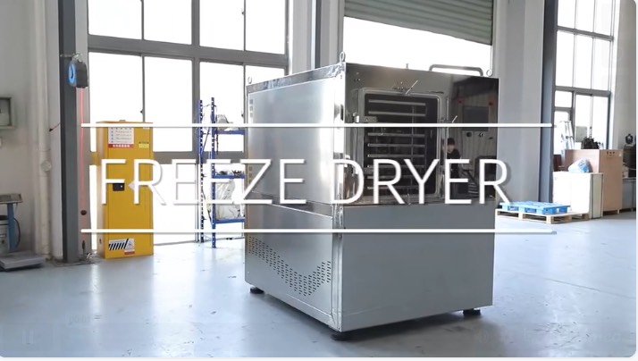 Commercial Food Freeze Dryer Factory Walkthrough: What Buyers Should Inspect