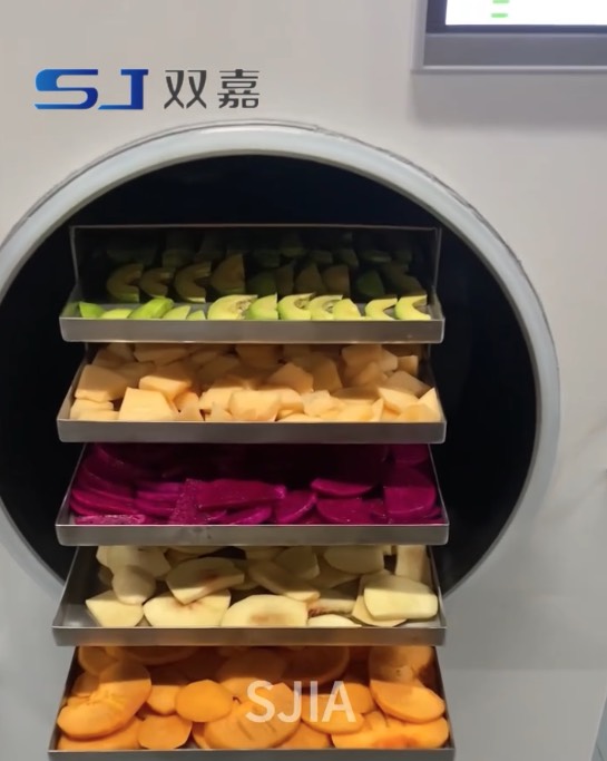 Mixed-Fruit Tray Loading Demonstration for Commercial Freeze Drying